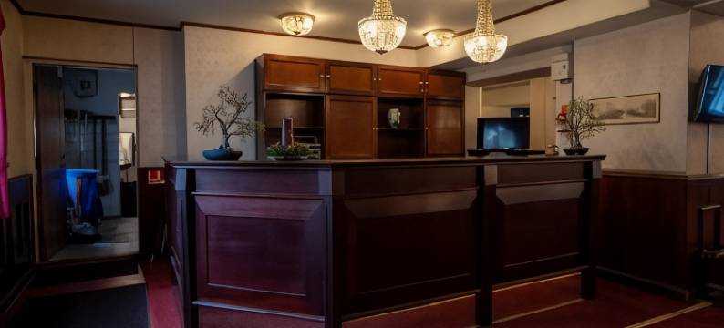 弗雷德里克斯韦尔克酒店(Hotel Frederiksværk)图片