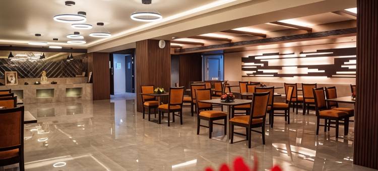 安巴套房酒店(Siara Styles Amba Suites, Gandhinagar)图片