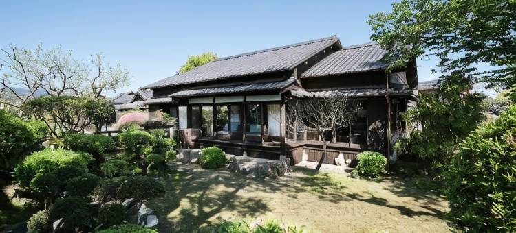 季乐 饫肥(Kiraku Obi)图片