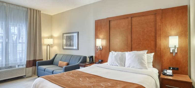 阿普尔顿机场舒适套房酒店(Comfort Suites Appleton Airport)图片