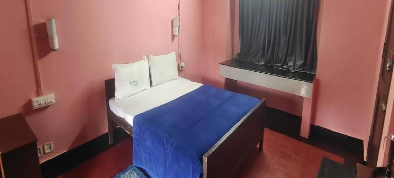 雾银(Misty D Silver)图片