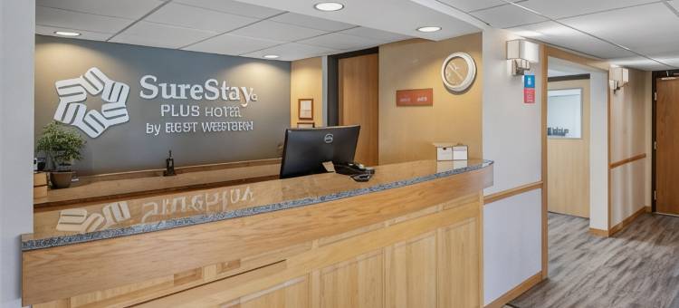 SureStay Plus Hotel by Best Western Litchfield图片
