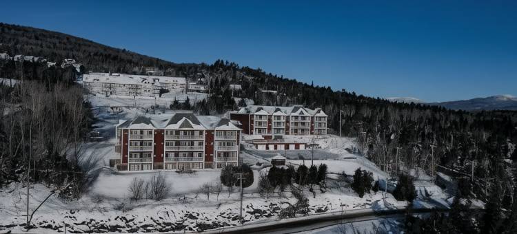 小庄园娱乐场酒店及阁楼(Hôtel et Pavillons le Petit Manoir du Casino)图片