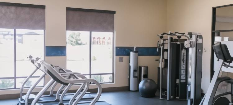 东阿马里洛欢朋套房酒店(Hampton Inn & Suites Amarillo-East)图片