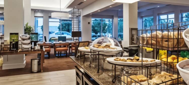 美国希尔顿花园酒店明尼阿波利斯机场购物中心(Hilton Garden Inn Minneapolis Airport Mall of America)图片