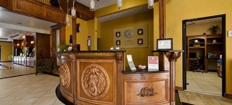 舒适套房酒店(Comfort Suites Bay City)图片