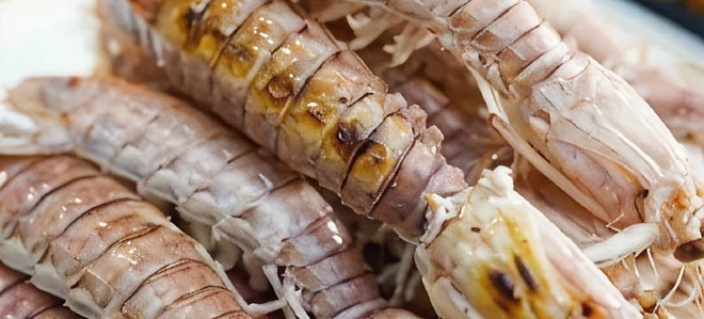 南极村林子民宿图片