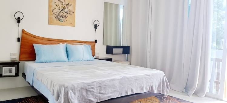 九重葛宾馆(Bougainvillea Guesthouse)图片