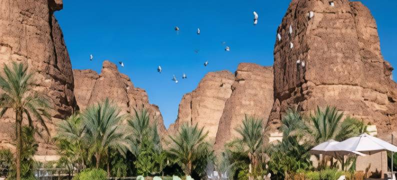 埃尔奥拉沙登度假村(Shaden Resort)图片