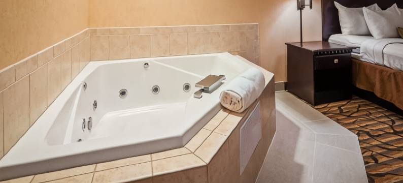 丹维尔贝斯特韦斯特优质酒店(Best Western Danville Inn)图片