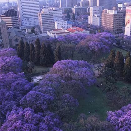 南非10日8晚私家团