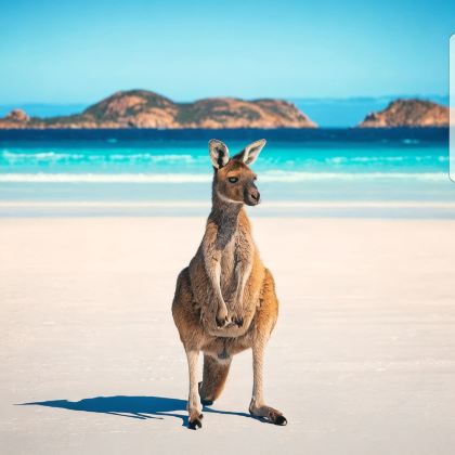 悉尼+凯恩斯+大堡礁+墨尔本10日私家团