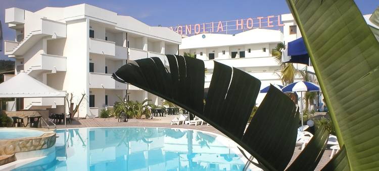 马戈诺莉亚酒店(Hotel Magnolia)图片