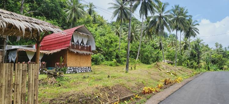 诺亚旅馆(Pondok Wisata Noah)图片