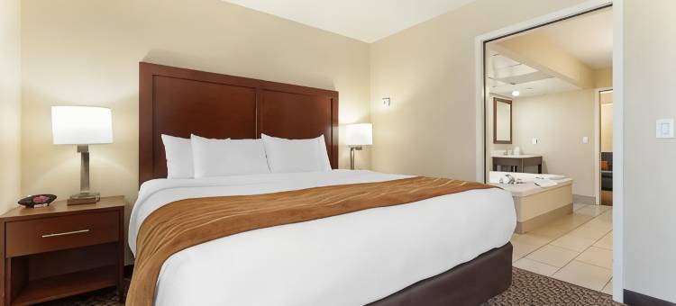 凯富酒店(Comfort Inn Ebensburg)图片