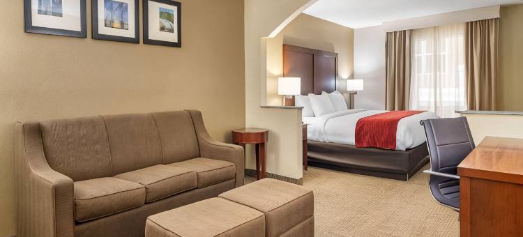 梅肯北I-75舒适套房酒店(Comfort Inn & Suites Macon North I-75)图片