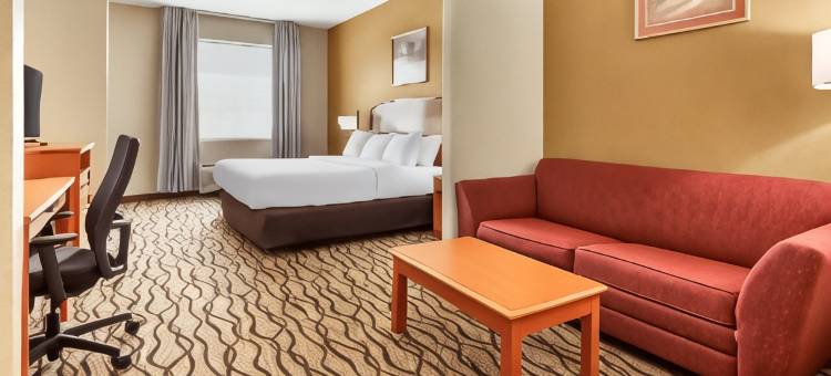 切萨皮克朴茨茅斯舒适套房酒店(Comfort Inn & Suites Chesapeake - Portsmouth)图片
