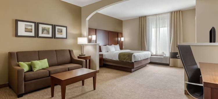 约翰逊城舒适套房酒店-近大学城(Comfort Suites Johnson City Near University)图片