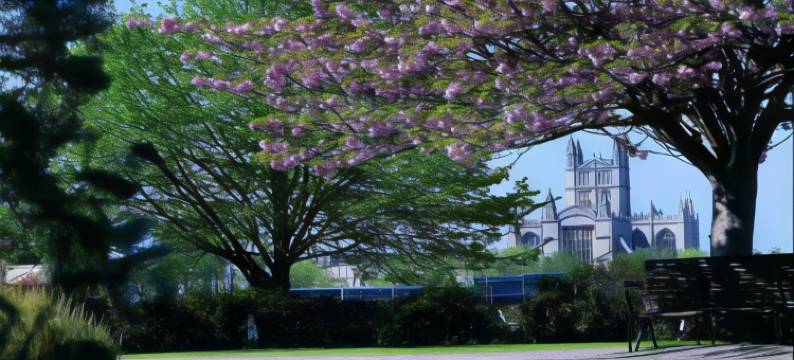 艾尔灵顿酒店(The Ayrlington)图片