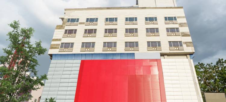 Treebo D Grand图片