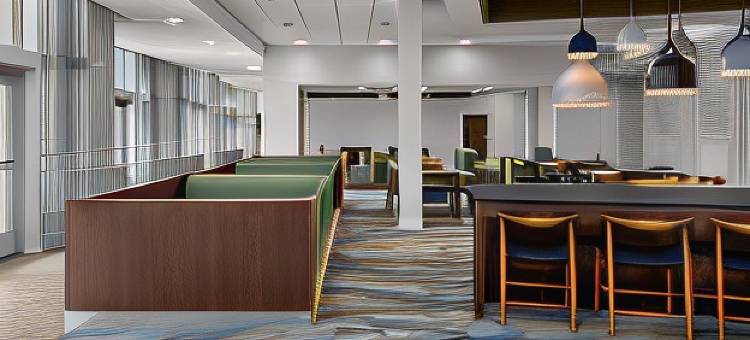 萨凡纳市中心/历史区万豪万枫酒店(Fairfield Inn & Suites Savannah Downtown/Historic District)图片
