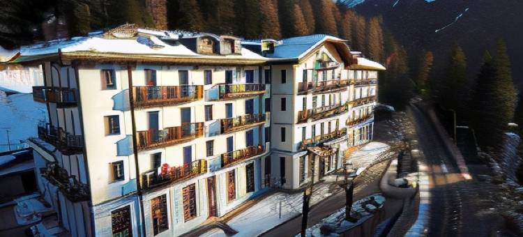 莱尼奥桥皇宫酒店(Palace Pontedilegno Resort)图片