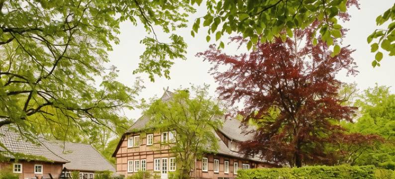 哈瓦贝克霍夫乡村别墅酒店(Landhaus Haverbeckhof)图片