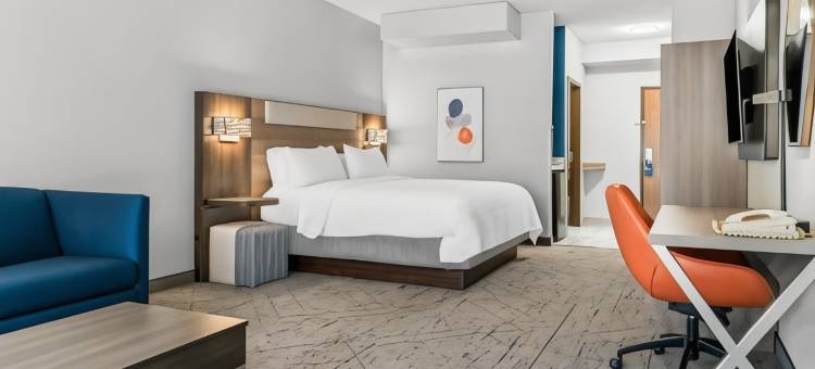 底特律北罗斯维尔智选假日套房酒店(Holiday Inn Express & Suites Detroit North - Roseville)图片