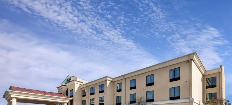 弗洛里斯维尔智选假日套房酒店(Holiday Inn Express & Suites Floresville)图片