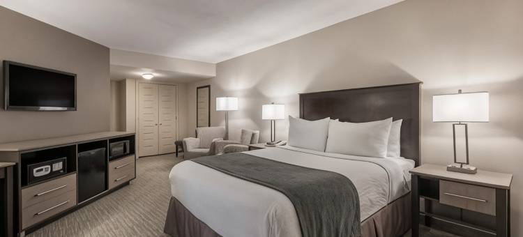 Chateau Bedford, Trademark Collection by Wyndham图片