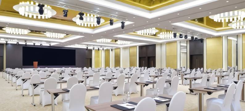 利雅得米尼哈尔丽笙酒店及会议中心(Radisson Blu Hotel and Convention Centre, Riyadh Minhal)图片