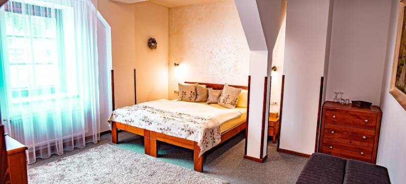 斯塔勒卡西旅馆(Penzion a Restaurace Staré Časy)图片