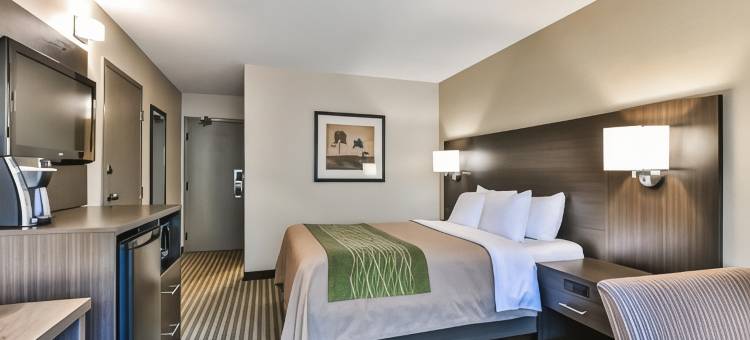 查塔姆群岛舒适酒店(Comfort Inn)图片