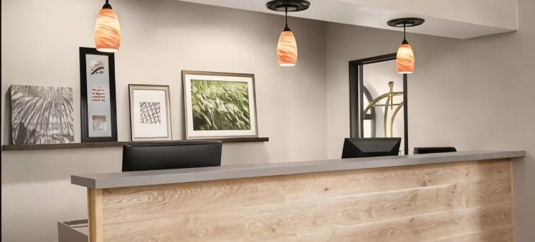 舒适套房-申纳多亚-伍德兰兹(Country Inn & Suites by Radisson, The Woodlands)图片