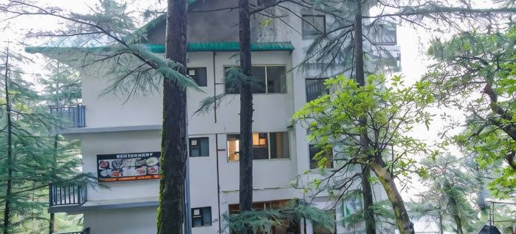 白水旅馆(White Water Inn Mcleodganj)图片