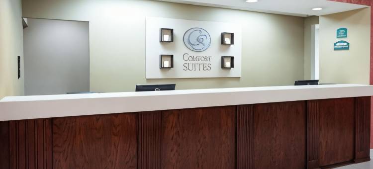 帕克斯堡南舒适套房酒店(Comfort Suites Parkersburg South)图片