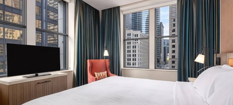 芝加哥中央环线希尔顿花园酒店-伊利诺伊州(Hilton Garden Inn Chicago Central Loop)图片