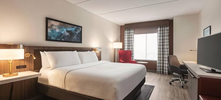 希尔顿花园旅馆-棕榈海岸镇中心(Hilton Garden Inn Palm Coast Town Center)图片