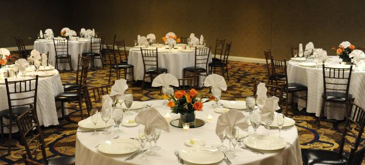 芝加哥罗斯蒙特欧海尔机场希尔顿逸林酒店(DoubleTree by Hilton Chicago O'Hare Airport-Rosemont)图片