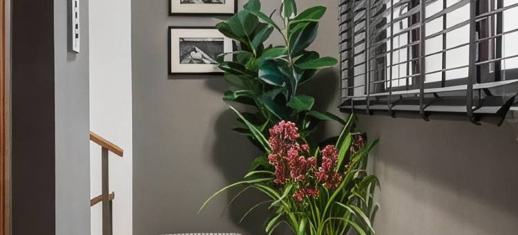 Naman酒店 - 西班牙(NAMAN HOTELLERIE - Spagna)图片