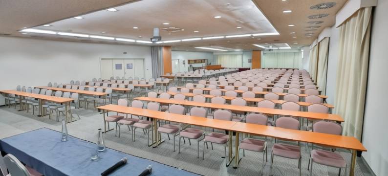 德沃夏克塔博尔LH酒店(LH Hotel Dvořák Tábor Congress & Wellness)图片