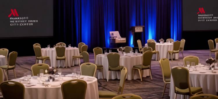 纽波特纽斯市中心万豪酒店(Newport News Marriott at City Center)图片