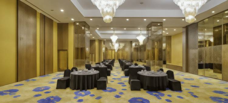 加尔各答机场假日酒店(Holiday Inn KOLKATA AIRPORT by IHG)图片