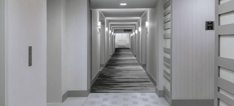 学院车站希尔顿酒店会议中心(Hilton College Station)图片