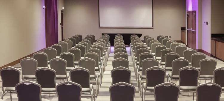 蒙特雷欧比斯帕多希尔顿花园酒店(Hilton Garden Inn Monterrey Obispado)图片