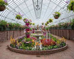 Tropical rainforest and orchids at Phipps Conservatory and Botanical Gardens