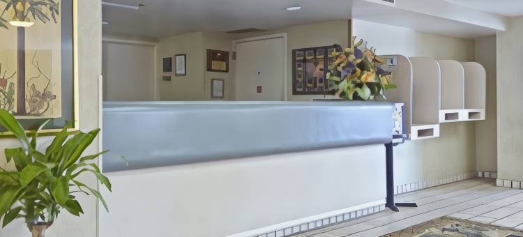舒适酒店及套房-圣彼得堡-克利尔沃特国际机场(Comfort Inn & Suites St Pete - Clearwater International Airport)图片