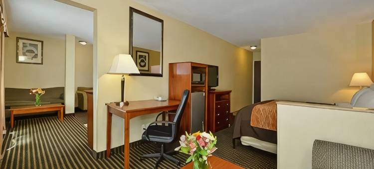 温馨酒店及套房温哥华市中心(Comfort Inn & Suites Vancouver Downtown City Center)图片