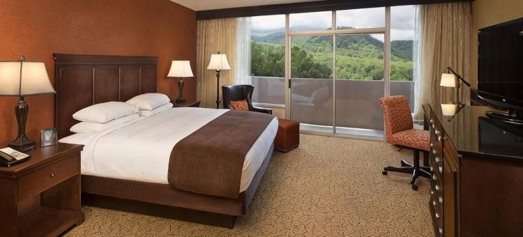 加特林堡远景公园逸林酒店(The Park Vista - a DoubleTree by Hilton Hotel - Gatlinburg)图片