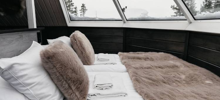 北光村庇护(Northern Lights Village Pyhä)图片
